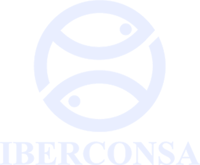 Logo de Iberconsa